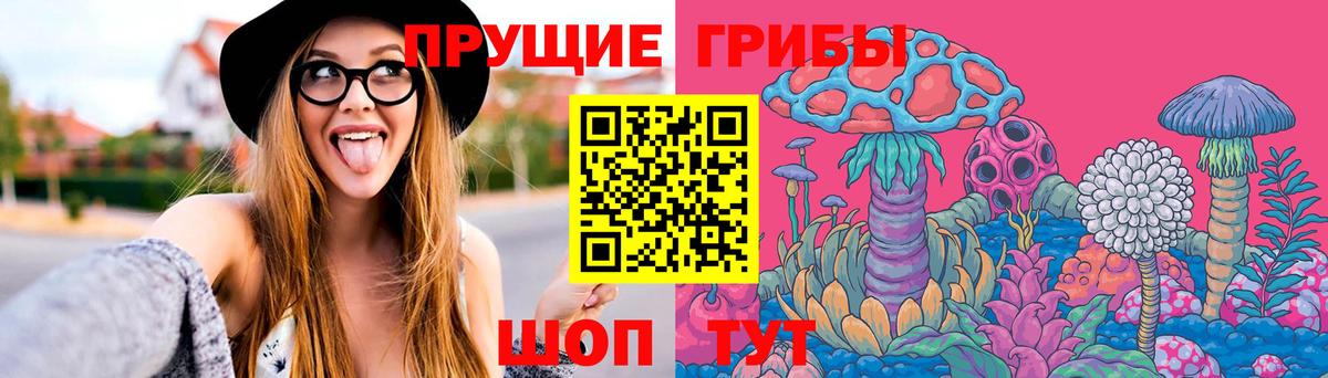 Галлюциногенные грибы мицелий Калуга